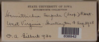 Image Associated With the Occurence